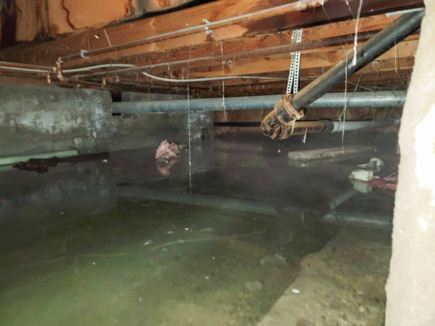 Best 24/7 water damage repair  in Joshua, TX