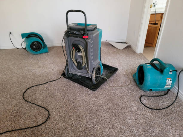  Joshua, TX Water damage restoration Pros