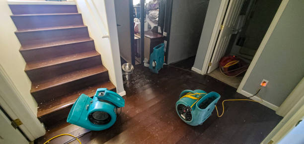 Best Local water damage restoration  in Joshua, TX