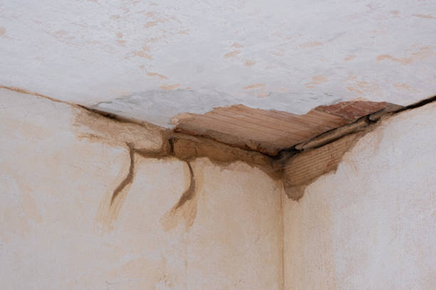 Best Water damage restoration near me  in Joshua, TX