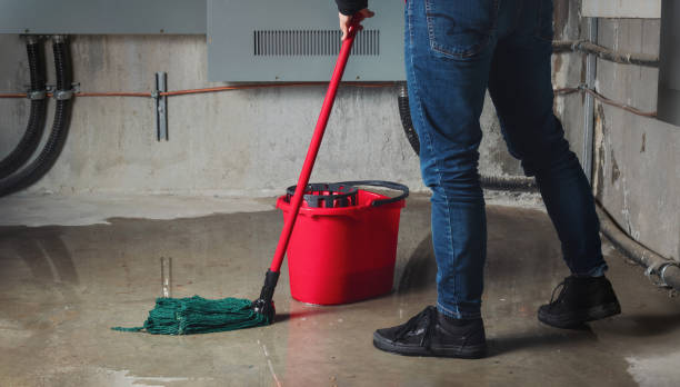 Best Flood damage cleanup  in Joshua, TX