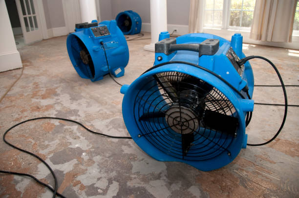 Best Fire Damage Restoration  in Joshua, TX