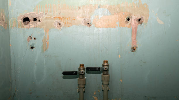 Best Carpet water damage restoration  in Joshua, TX