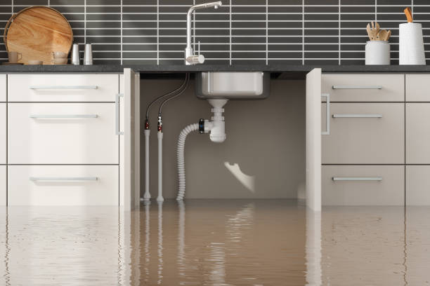 Best Water damage restoration experts  in Joshua, TX